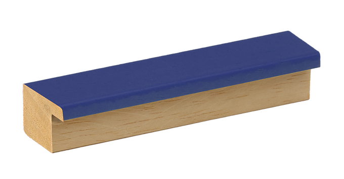 échantillon moulure BLEU