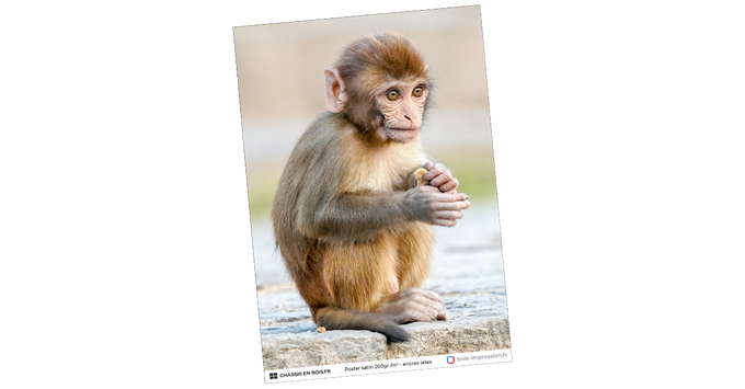 échantillon de poster 200gr/m² encres latex (visuel aléatoire)